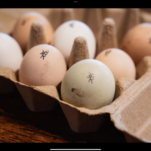 White Bison Ranch One Dozen Eggs - Pick Up Only